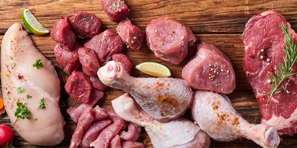 Exploring the Carnivore Diet: A Solution or Problem for Gout?