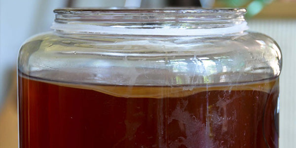 Kombucha and Gout: Fermented Goodness for Joint Health?