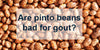 Are Pinto Beans Bad for Gout - The Gout-Friendly Guide