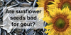 Are Sunflower Seeds Bad for Gout?